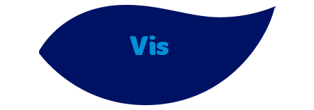Vis